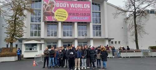 Wycieczka do Body Worlds & The Cykle of Life