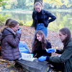 Rajd hybrydowy „Ku Niepodległości”.