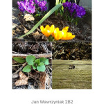 Zdjęcie przedstawia wiosnę