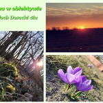 Zdjęcie przedstawia wiosnę