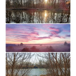 Zdjęcie przedstawia wiosnę