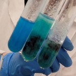 Uczniowie klasy 2PA w laboratorium