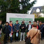 Porządkowanie grobów